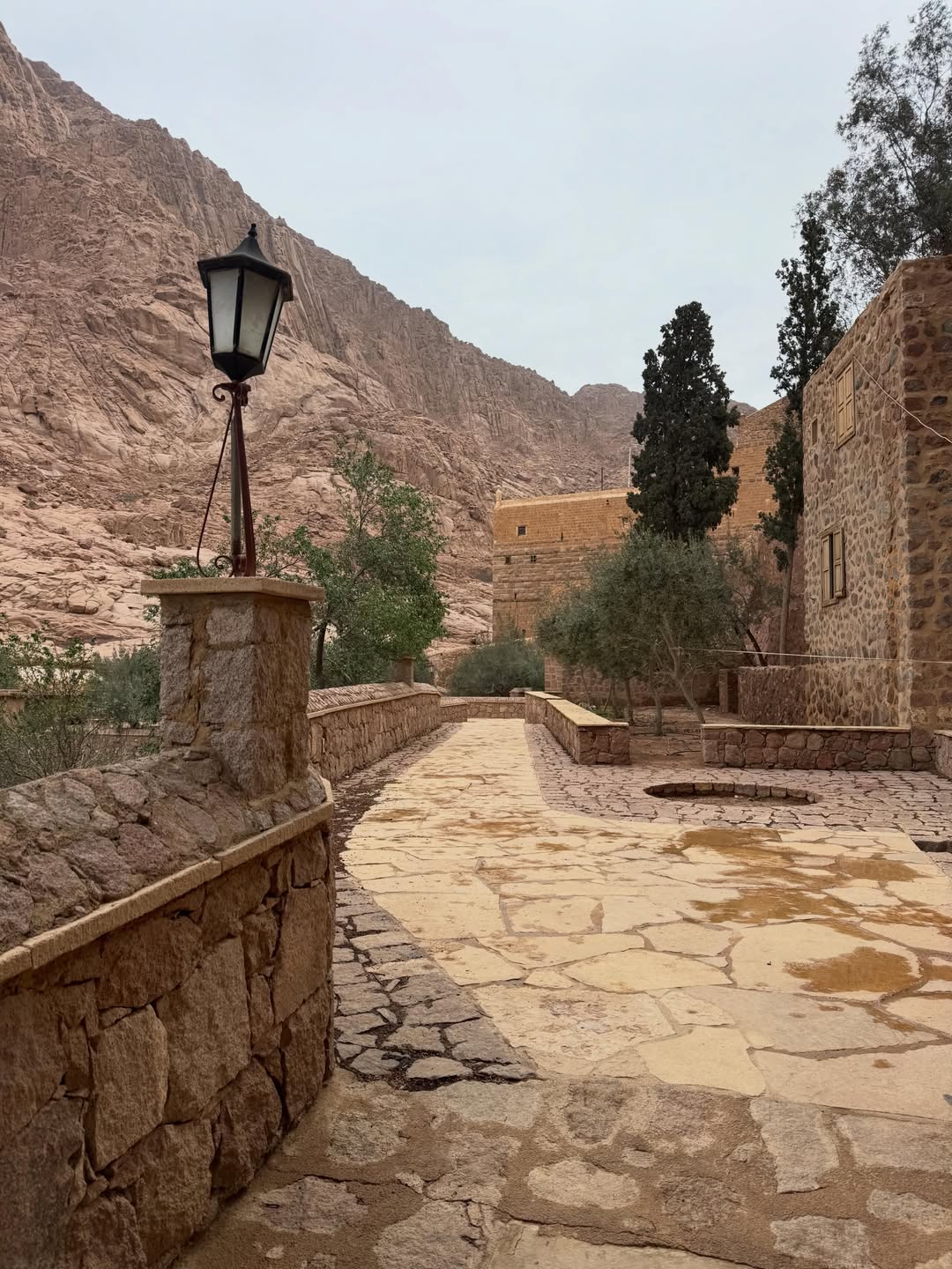 Saint Catherine Monastery and Dahab Day Trip from Sharm El Sheikh