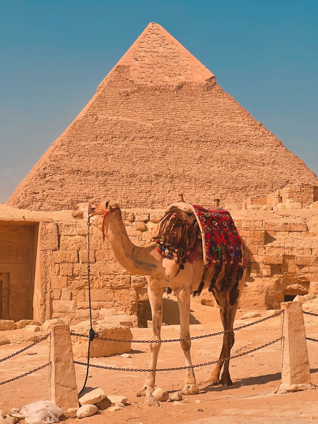 Ultimate Full-Day Cairo Tour from Sharm El Sheikh by Plane