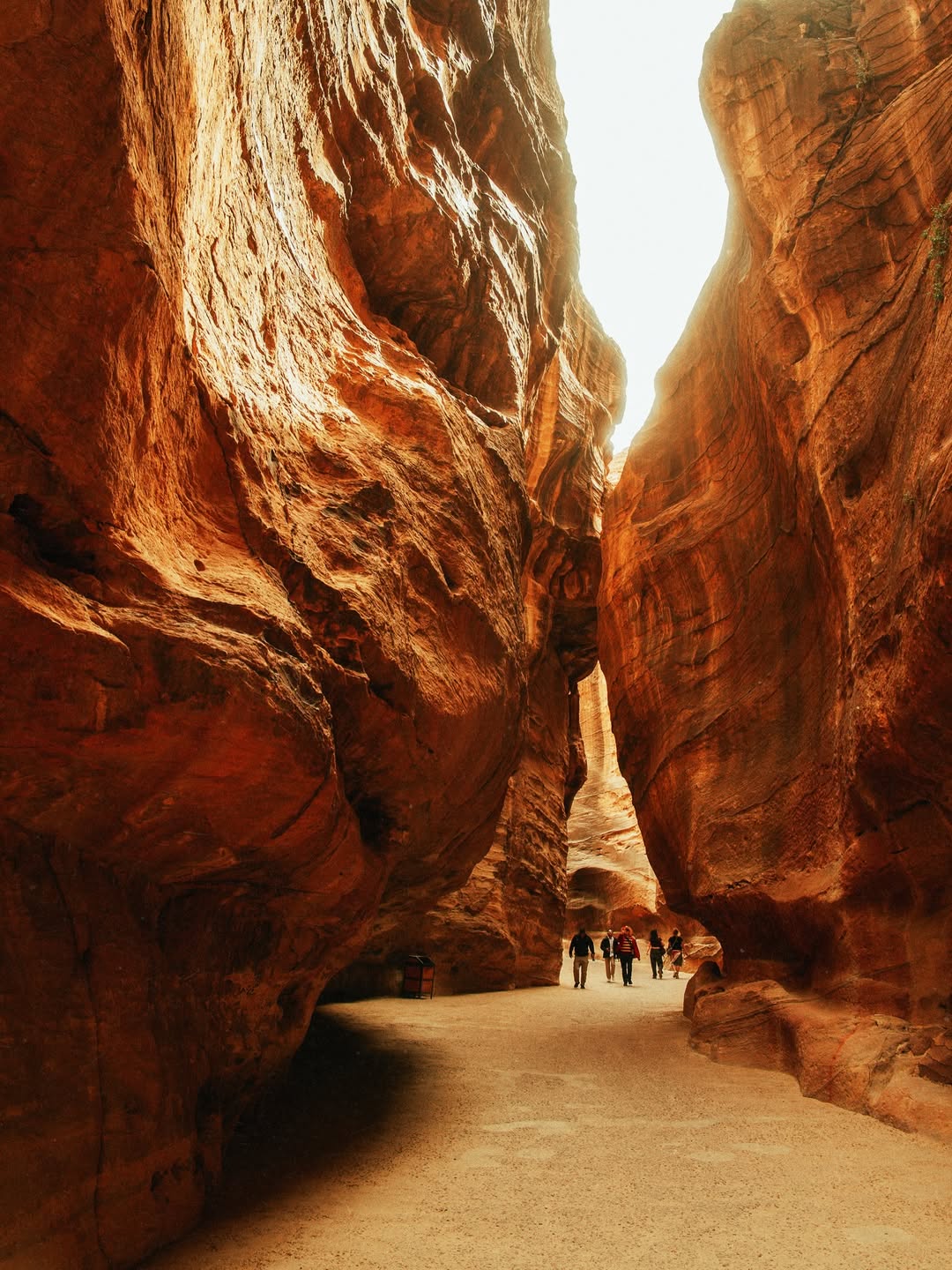 Petra Day Tour by bus and Ferry from Sharm El Sheikh