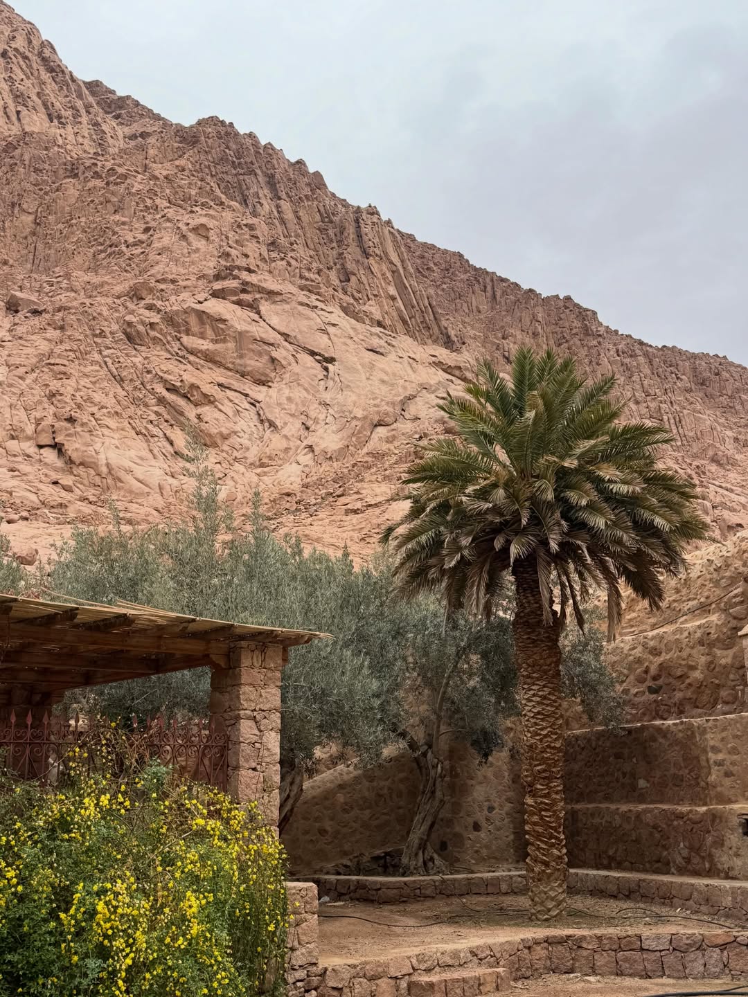 Saint Catherine Monastery and Dahab Day Trip from Sharm El Sheikh