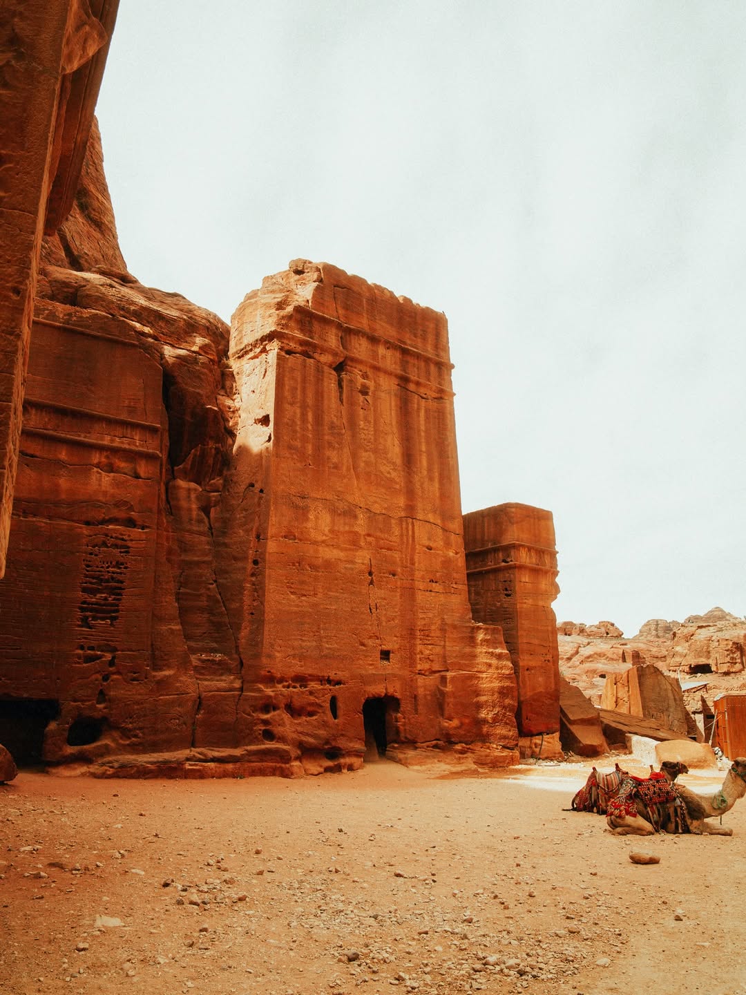 Petra Day Tour by bus and Ferry from Sharm El Sheikh