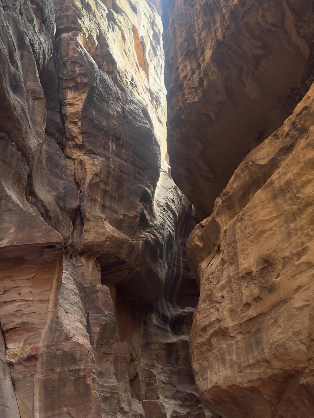 Petra Day Tour by bus and Ferry from Sharm El Sheikh