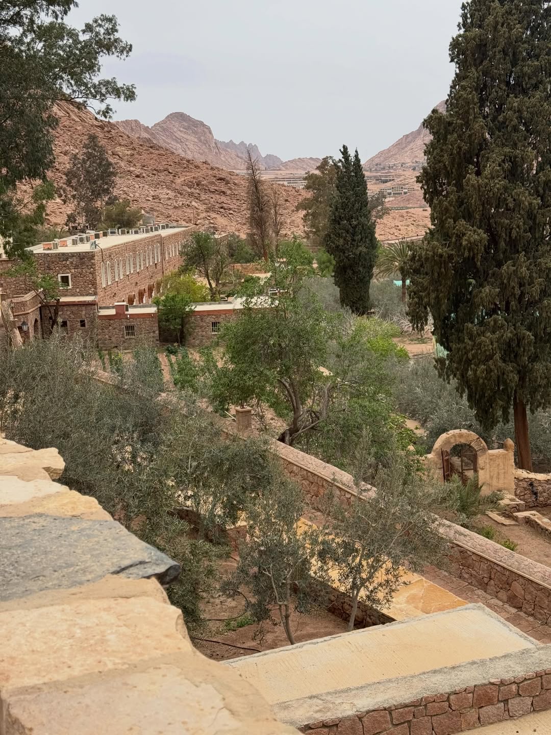 Saint Catherine Monastery and Dahab Day Trip from Sharm El Sheikh