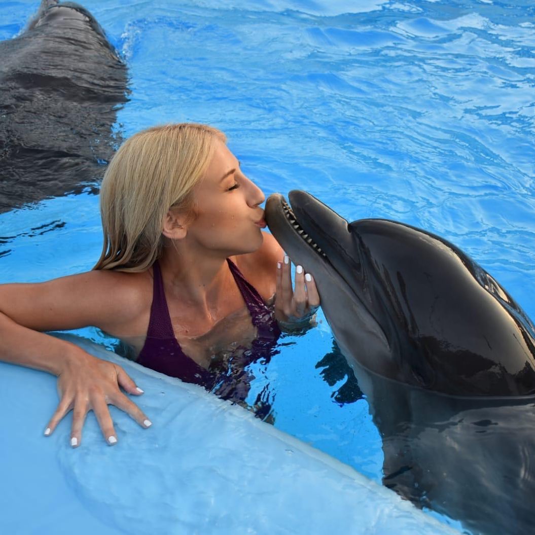Swimming with Dolphins in Sharm El Sheikh