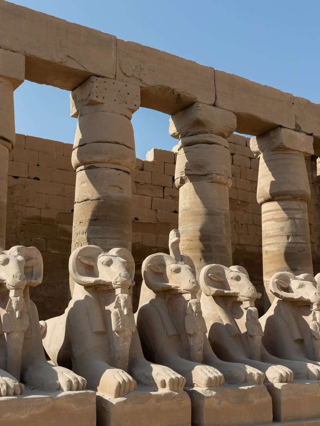 Luxor Day Tour from Sharm El Sheikh by Plane