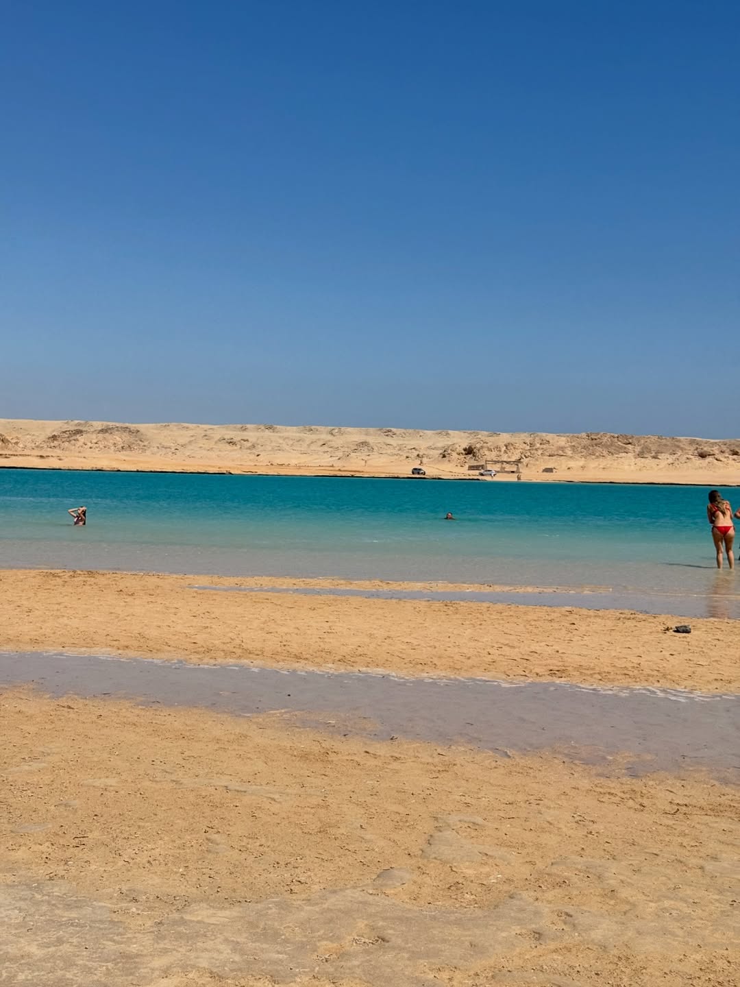 RAS MOHAMED NATIONAL PARK  HALF DAY FROM SHARM
