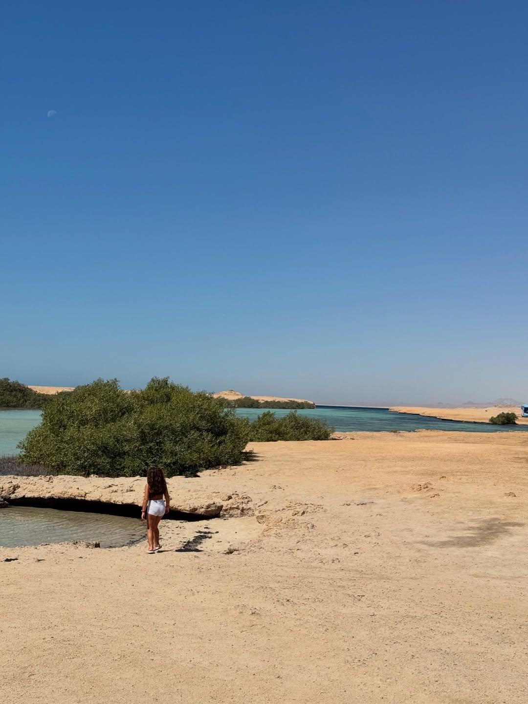 RAS MOHAMED NATIONAL PARK  HALF DAY FROM SHARM