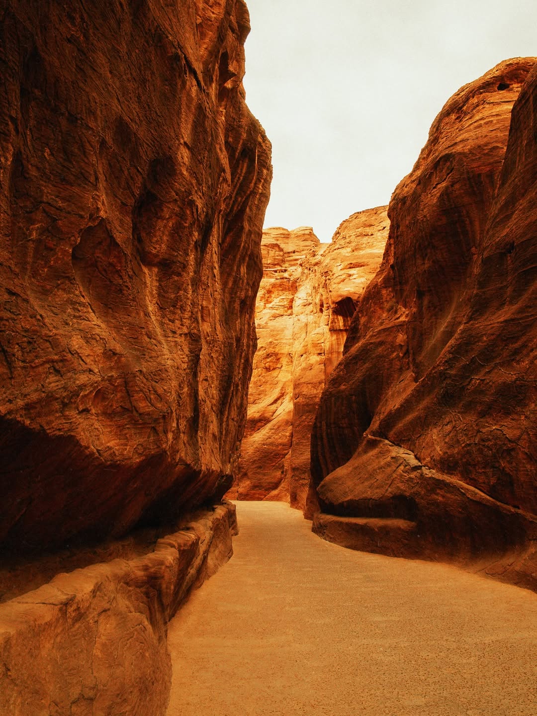 Petra Day Tour by bus and Ferry from Sharm El Sheikh