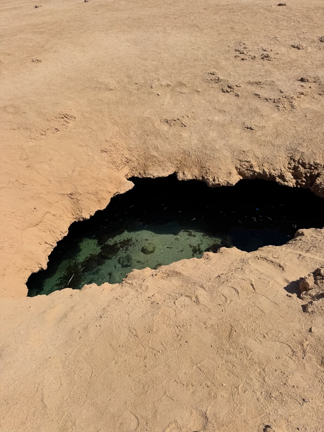 RAS MOHAMED NATIONAL PARK  HALF DAY FROM SHARM