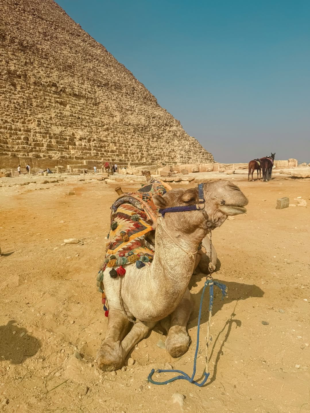 2 Days Cairo and Alexandria Tour from Sharm El Sheikh by Plane